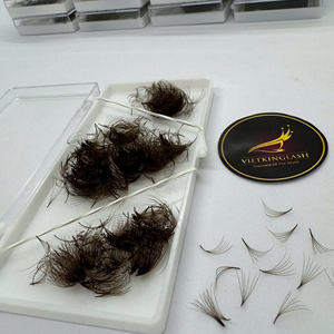 Pestañas Postizas Premade Marrones 6D 7D 0.07 |   Extensiones de Pestañas de Volumen Natural Suave |   Proveedores de Pestañas al por Mayor con Marca Privada OEM - Product Image 1