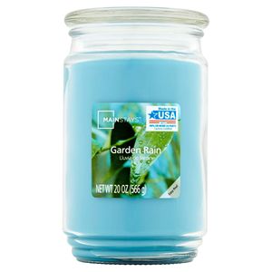 Grande barattolo di vetro a stoppino singolo candela 20 once vasetto da pioggia da giardino candele - Product Image 1