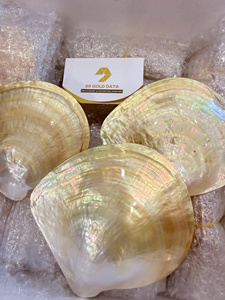 Elegant Oval Mother of Pearl Charger Plate with Plant Pattern for Modern Wedding and Event <b>Table</b> Setting - Product Image 3