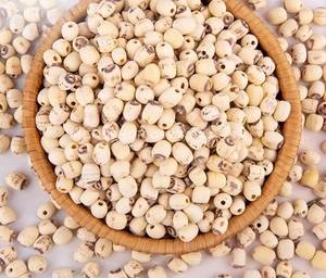 HOT DEAL 2024 EXPORT DRIED LOTUS <b>NUT</b> PERIUM QUALITY/ BEST PRICE FROM VIET NAM - Product Image 2