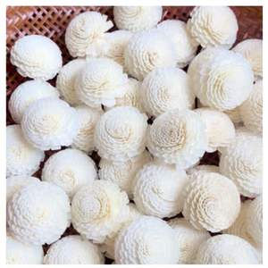 ดอกไม้จัสมินโซล่าวู้ดขนาด 4.5 ซม. ก้านไฟเบอร์จากต้นเซสบาเนีย สำหรับอโรมาเธอราพี ทำด้วยมือ เป็นมิตรต่อสิ่งแวดล้อม แบบเจาะรู สำหรับตกแต่ง - Product Image 2