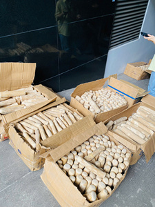 Bâton à mâcher pour chien en bois de café, robuste, naturel, durable, biologique, pour chiens agressifs et à mâcher fortement, pour les races de chiens de grande taille - Product Image 6