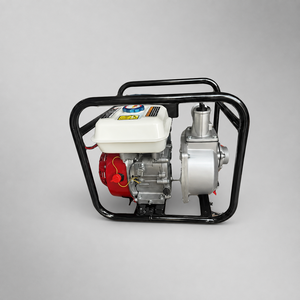 SS Samson SWP20 <b>High</b> <b>Pressure</b> Gasoline Engine <b>Water</b> <b>Pump</b> Professional Agricultural Use - Product Image 1