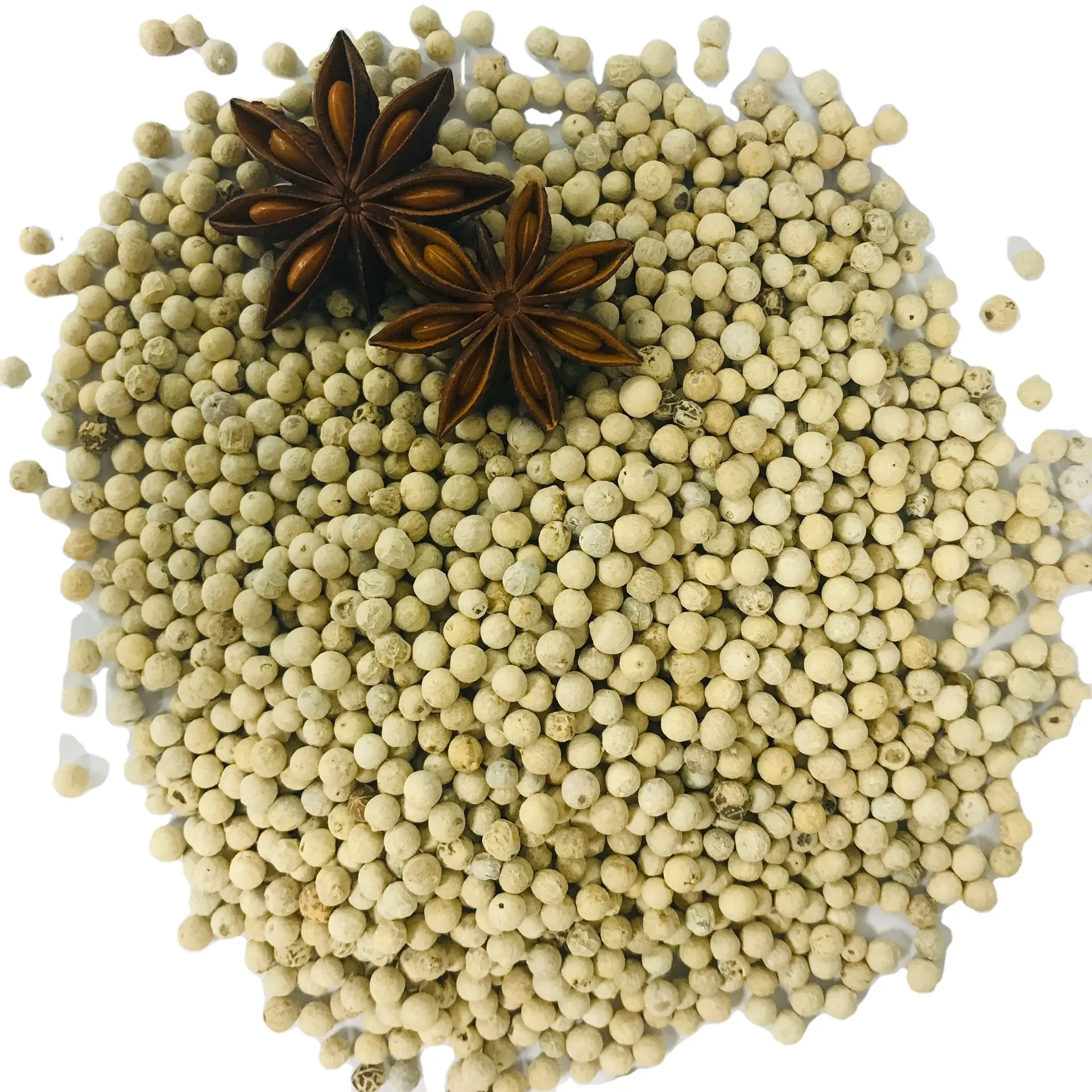 Witte Peper Spice, Zwarte Peper Prijs, Vietnam Zwarte Peper 500 Kosher/Halal/Haccp + 84326055616