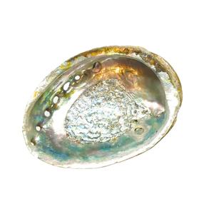 Conchas de abulón pulidas decorativas para el estilo de casas de playa, decoración de restaurantes con temática marítima, utilizando materiales marinos auténticos. - Product Image 3