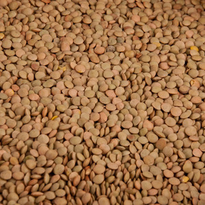 Colección de Alimentos Secos Orgánicos: Incluye Lentejas Marrones con Clasificación Pura y Suministro Premium en Bolsas para Pedidos de Importación - Product Image 2