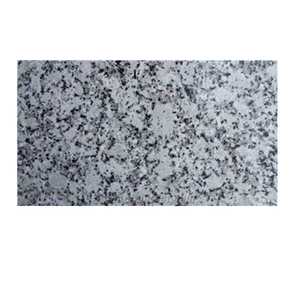 Losas de Granito Blanco Platino Natural, Acabado Pulido, Flameado y Envejecido, para Encimeras de Cocina, Pisos y Revestimiento de Paredes - Product Image 5