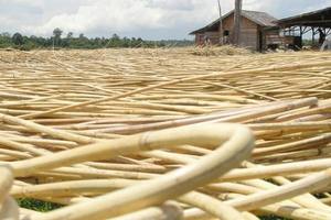 BEST SELLING RATTAN CORE NATURAL for <b>FURNITURE</b> - Product Image 5