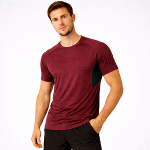 T-shirt de sport pour homme à séchage rapide, respirant, en maille, coupe ajustée, écologique, en tissu peigné 300 grammes, haut d'entraînement personnalisé - Product Image 1
