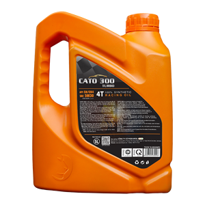 Aceite de motor para coche NPOIL CATO 300 TURBO 5W30 4L 5L 6L Aceite de motor sintético de alta calidad Vietnam - Product Image 4