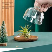 Assiettes rondes jetables biodégradables en bois modernes avec plateau, couleur/taille personnalisées, pour apéritifs et desserts de fête