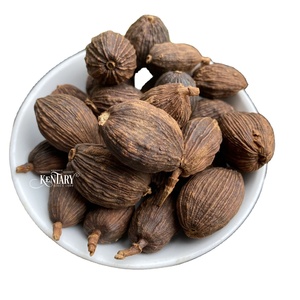 Graines de cardamome noire Ingrédients culinaires essentiels d'herbes à épices simples séchées crues avec des saveurs complexes pour les aventures culinaires - Product Image 1