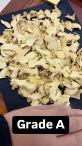 TRANCHES SÉCHÉES GINGEMBRE PRIX DIRECT D'USINE-Contactez WA + 84 36 680 8683 - Product Image 4