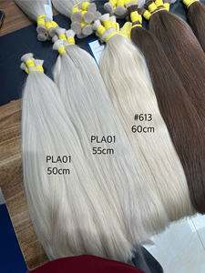 Extensiones de Cabello Natural Ondulado y Liso al Por Mayor a Precio de Fábrica # PLA01 # Cabello Blanco de Buena Calidad a Precio de Mayoreo - Product Image 5