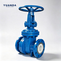 Vanne à opercule à tige non montante Z45X en fonte, revêtement bleu, siège élastique, conception à corps central flangé
