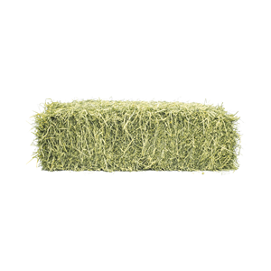 Heno de Alfalfa de Alta Calidad a Granel para Granjas Lecheras y Empresas de Alimentación Animal - Product Image 4