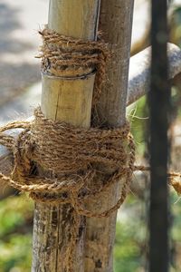 Eco-Friendly Biodegradable Braided Coconut Coir Fiber Rope 200m Length Thick 0.6-1mm Outdoor Garden From Viet Nam - Product Image 5