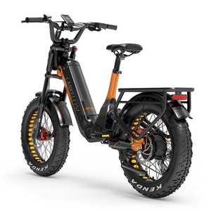 Vélo électrique Lankeleisi RX800 Plus 1000W 20 pouces à pneus larges, suspension intégrale, batterie 48V 20Ah, capteur de couple, vélo électrique SUV pour adultes - Product Image 3