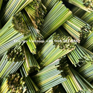 หลอดดูดแบบใช้แล้วทิ้งที่ผ่านการรับรอง Eco2go เวียดนามสำหรับร้านกาแฟและใช้ในบ้าน - Product Image 5