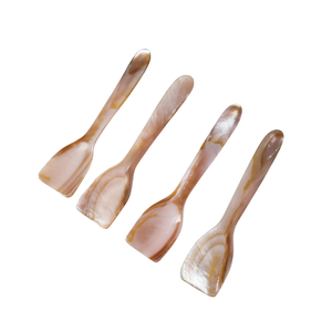 High Luster Handmade MOP <b>Shell</b> Spoon Fish Flower Long Handle <b>Mirror</b> Polish Custom Logo Engraved Dessert Spoon Storage - Product Image 1
