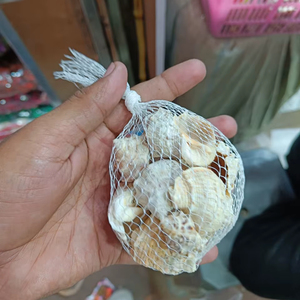 Natural Uniform Sea Shells Decorative Net Pack <b>Small</b> Ocean Shells for Craft Aquarium <b>Vase</b> Filling Home Decor - Product Image 1