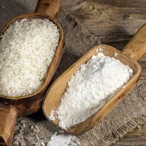 Harina de Arroz Vietnamita de Primera Calidad, 100% Natural, Sin Gluten, Harina de Arroz Blanco de 10 kg para Panadería y Procesamiento de Alimentos, Sin OMG - Product Image 1