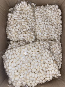Cocon de soie blanc coupé et nettoyé pour l'exfoliation du visage, soin de la peau, qualité supérieure provenant de fermes vietnamiennes, prix abordable - Product Image 3