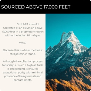Résine de Shilajit Naturelle de l'Himalaya – Produit Herbal Pur à Base de Plantes – Extrait de Shilajit Botanique pour Approvisionnement Commercial en Gros - Product Image 4