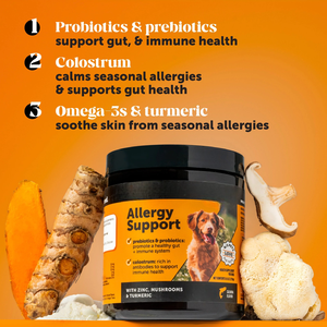 Complément alimentaire probiotique pour chiens, marque privée OEM, sous forme de friandises à mâcher, pour la santé intestinale, la peau, le pelage, les allergies et le soutien immunitaire. - Product Image 3