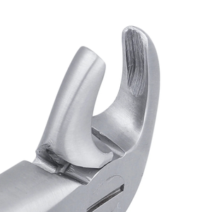 คีมถอนฟันเด็ก 1C Pedo Lower Incisors ทำจากเหล็กกล้าไร้สนิม สำหรับการผ่าตัดทางทันตกรรมเด็ก อุปกรณ์ถอนฟัน - Product Image 6