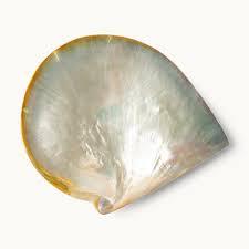 Plato de Concha de Nácar Esculpido y Atrevido para Servir en Fiestas de Cócteles, Banquetes Festivos y como Regalo de Decoración de Mesa Contemporánea - Vietnam - Product Image 4