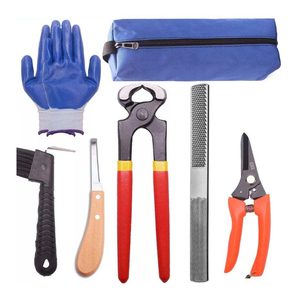 Kit complet de ferrage pour l'entretien équin : outils de coupe de sabots avec marteau, couteau, râpe et coupe-clous - Product Image 1