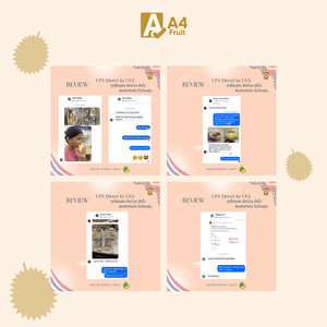 ทุเรียนมันทองพรีเมียมไทย สดใหม่ เนื้อนุ่ม หวาน ละมุน เก็บในตู้เย็นได้ 500 กรัม อายุการเก็บรักษา 14 วัน - Product Image 4