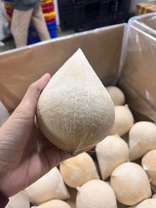มะพร้าวขัดเงาทั้งลูก Coco fresco pulido Coco fresco polido สำหรับผู้ซื้อ (WA +84914319488) - Product Image 1