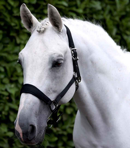 Harnais de cheval durable au design anglais traditionnel, personnalisable, ajustement confortable pour l'entraînement et la manipulation quotidiens, avec options OEM et ODM - Product Image 4