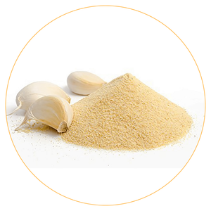 Poudre d'ail déshydratée de qualité alimentaire à mailles fines pour la transformation de la viande, la boulangerie, les aliments instantanés et les mélanges d'épices - Product Image 1
