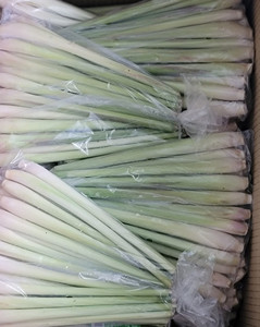 Hierba de limón congelada IQF-Hierba de limón en rodajas/Hierba de limón picada para exportación de productos de verduras congeladas-PROVEEDOR VIETNAM/Sra. Selina - Product Image 6