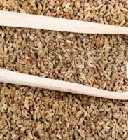 Graines d'Ajwain de Haute Qualité, Arôme Intense pour Mélanges Masala, Fabricant Indien, Prix de Gros, Durée de Conservation de 12 Mois, Ingrédients Naturels