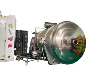 Liofilizador Automático Comercial WHFD-100 con Control PLC, Equipo de Secado por Congelación de Acero Inoxidable para Procesamiento de Alimentos - Product Image 2