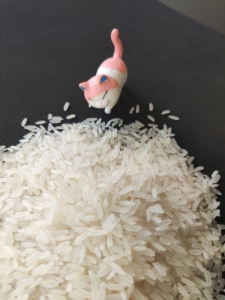 Riz Parfumé au Jasmin - Riz Long Grain Premium Hom Mali Standard 5kg 25kg 50kg Sac BOPP PP PAPE |   Celeste VILACONIC - Product Image 1