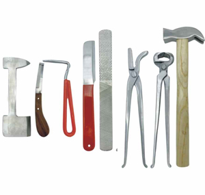 Kit d'outils de ferrage en acier inoxydable pour chevaux, ensemble de soins des sabots, marteau de ferrage, pinces, rasoirs et jauges, seringues vétérinaires pour usage en écurie - Product Image 1
