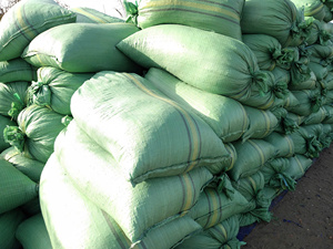 Escamas de Pescado Secas Naturales para la Producción de Colágeno, Materia Prima Alta en Proteínas para la Industria Cosmética, Suministro a Granel, Limpiadas y Secas al Sol - Product Image 3