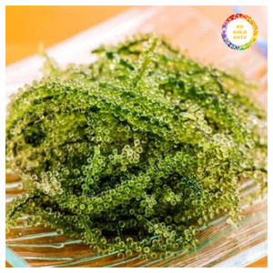 สาหร่ายทะเลคุณภาพสูง ไข่ปลาคาเวียร์สีเขียวจากเวียดนาม - Product Image 5