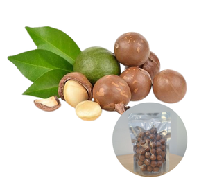 Best Price Vietnam Manufacturer Supply Factory In Vietnam Factory Price Roasted <b>Macadamia</b> Kernel Bulk - Product Image 1