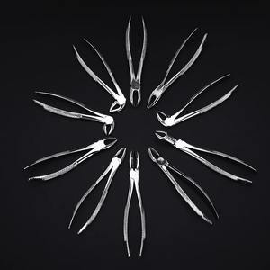 Forceps dentaires pour l'élimination des dents et des racines résiduelles chez l'adulte, en acier inoxydable de qualité chirurgicale, outils de chirurgie orale - Product Image 6