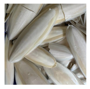 Os de seiche séchés du Vietnam pour produits pour animaux de compagnie, sources de calcium et acheteurs en gros - Product Image 1