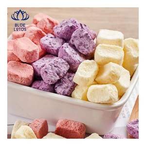 Yogurt en Trozos de Venta Rápida, Ideal como Snack Listo para Comer y Decoración de Postres para Heladerías - Product Image 4