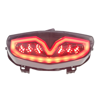 Luz trasera LED integrada para motocicletas 2020-UP, opciones de lentes transparentes o ahumadas, accesorios de sistema de iluminación de Color ámbar