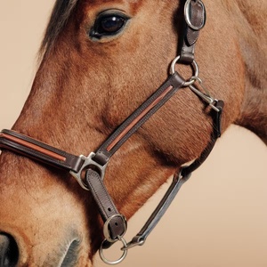 Nouvel Arrivage Horsekraft – Harnais et Collier en Cuir Premium Durable, Personnalisable pour l'Entraînement, Modèle Selle Anglaise - Product Image 2