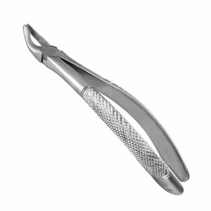 Forceps d'extraction dentaire en acier inoxydable, modèle anglais, instrument de chirurgie buccale, outil d'extraction dentaire - Product Image 2